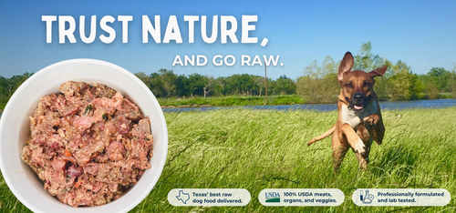 Go Raw Pet Food Desktop Hero Image