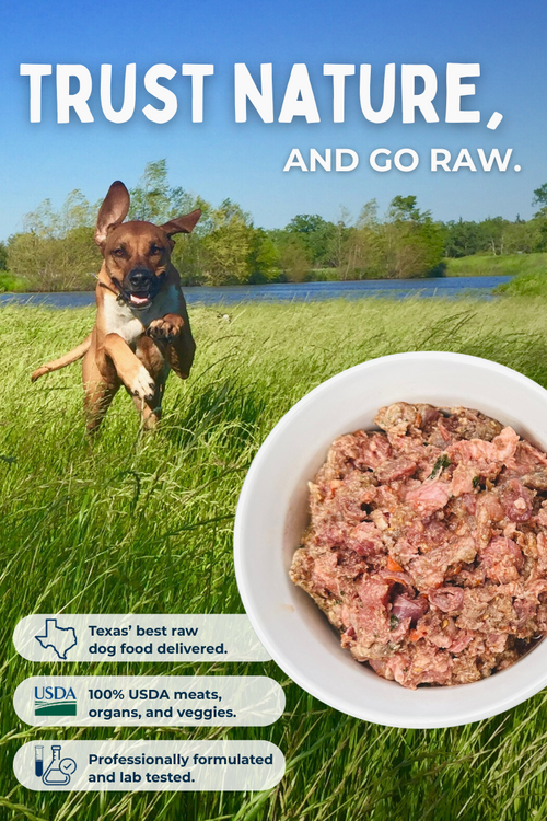 Go Raw Pet Food Website Mobile Hero Image