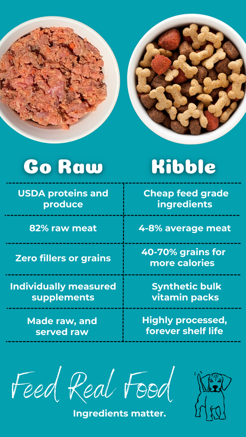 Go Raw Pet Food vs Kibble