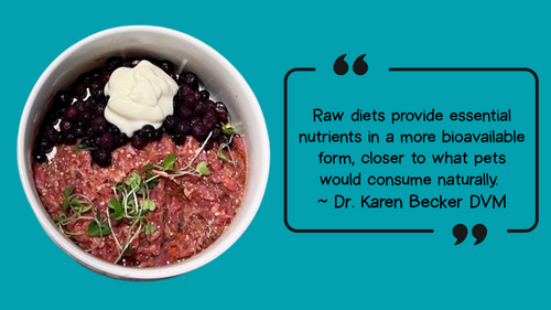 raw_bowl_bioavailable_nutrition